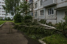 Последствия урагана во Владимирской области