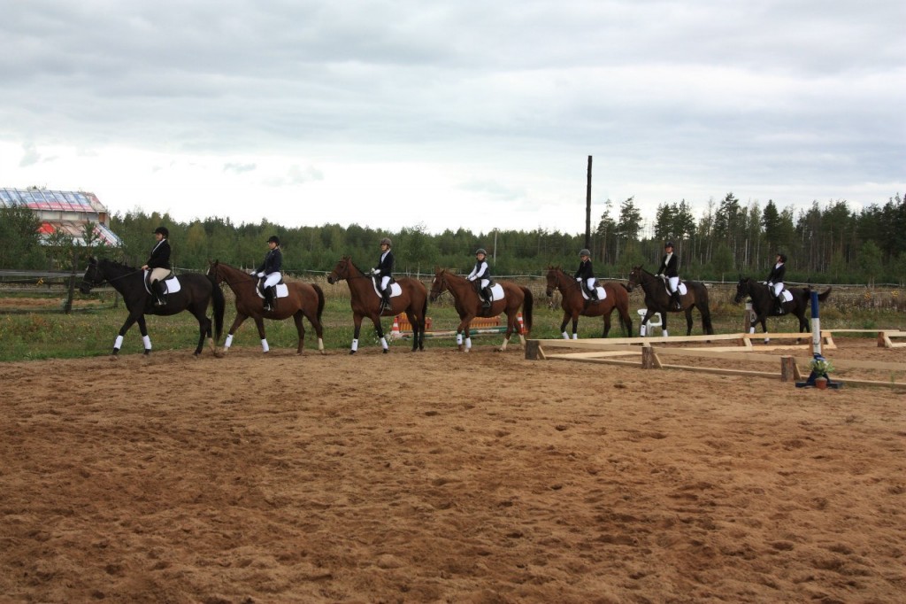 В деревне Старово прошли соревнования по конному спорту 03