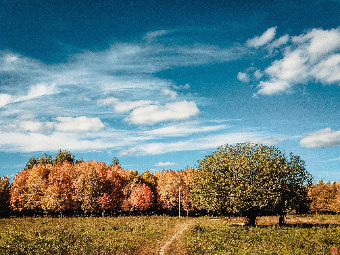 Осень во Владимирской области