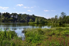 Национальный парк «Мещёра» Владимирской области