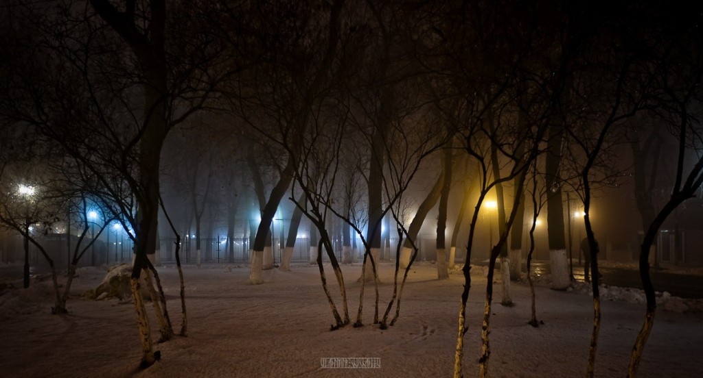 2015_11_20 Туман во Владимире 14