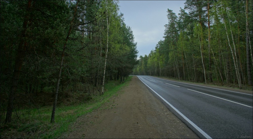 Судогодская дорога