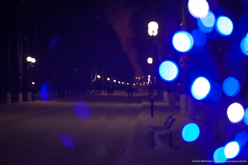 Прогулка по зимнему центральному парку Владимира 09