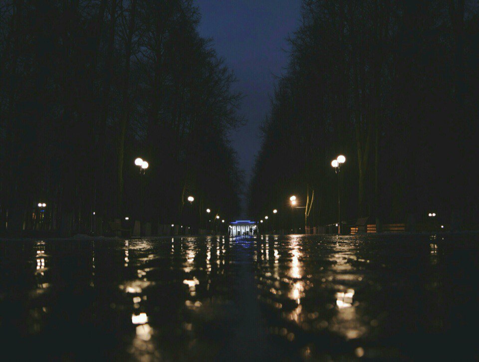В дождливом парке городском... Владимир