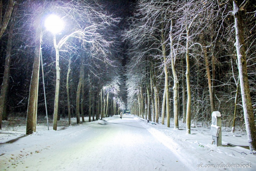 Зима 2015 на Вербовском 05