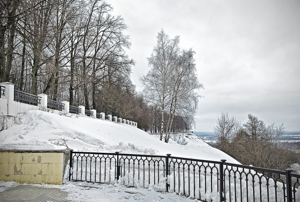 Парк Пушкина (г. Владимир, февраль, 2016)