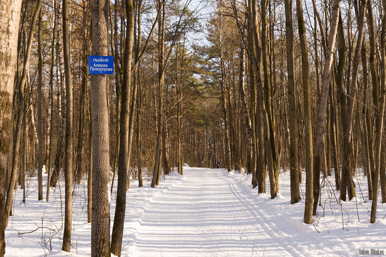 Лыжня алексея прокуророва схема