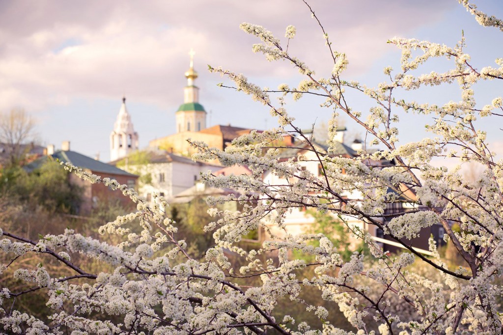 Белое кружево цветущих садов во Владимире