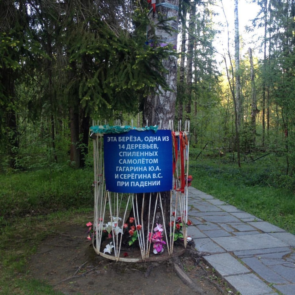 Береза на месте гибели @ Памятник Гагарину и Серёгину