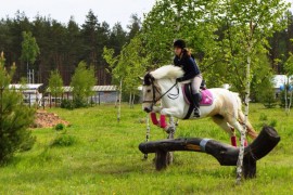 Майские соревнования на лошадях в Киржачском районе
