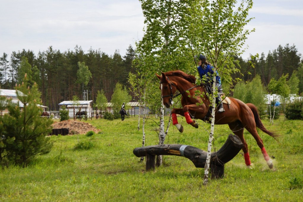 Майские соревнования на лошадях в Киржачском районе 02