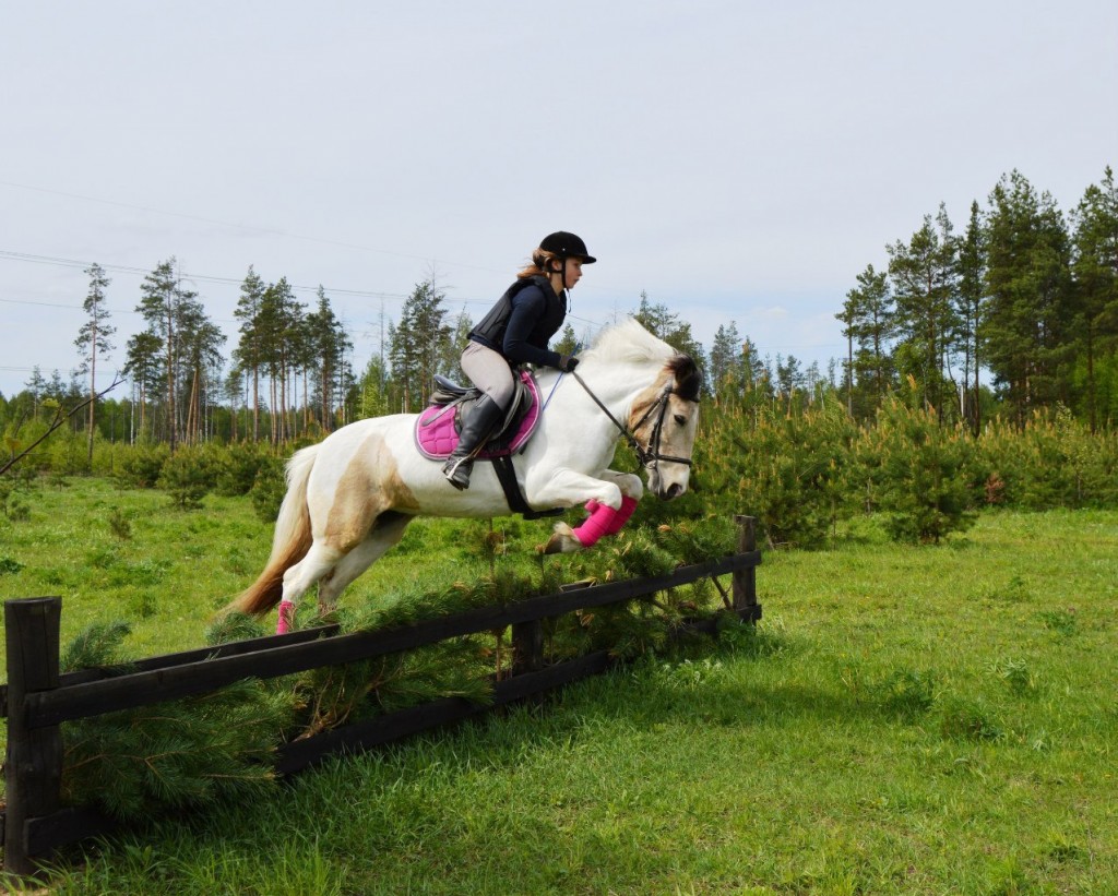 Майские соревнования на лошадях в Киржачском районе 03
