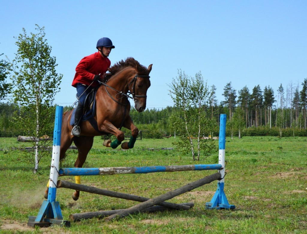 Майские соревнования на лошадях в Киржачском районе 05