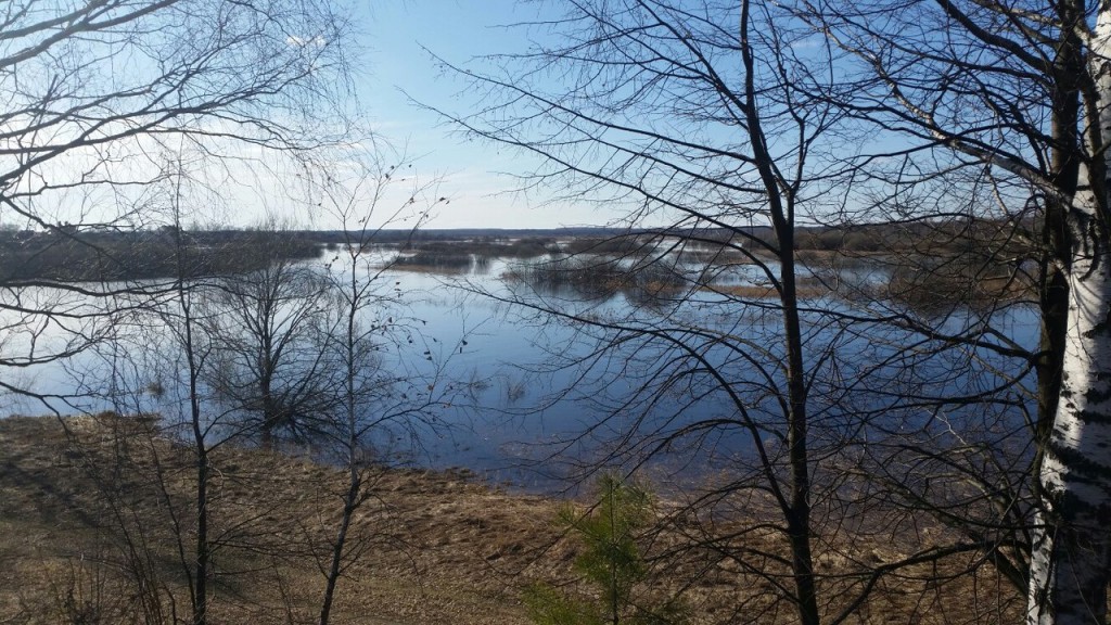 Разлив реки Уводь. Село Малышево Ковровского района 02