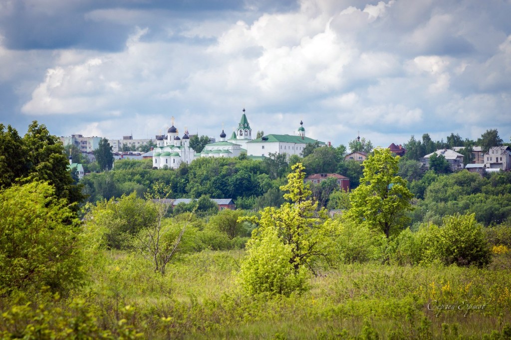 Спасо-Преображенский монастырь в Муроме (Вид из Нижегородской обл.)