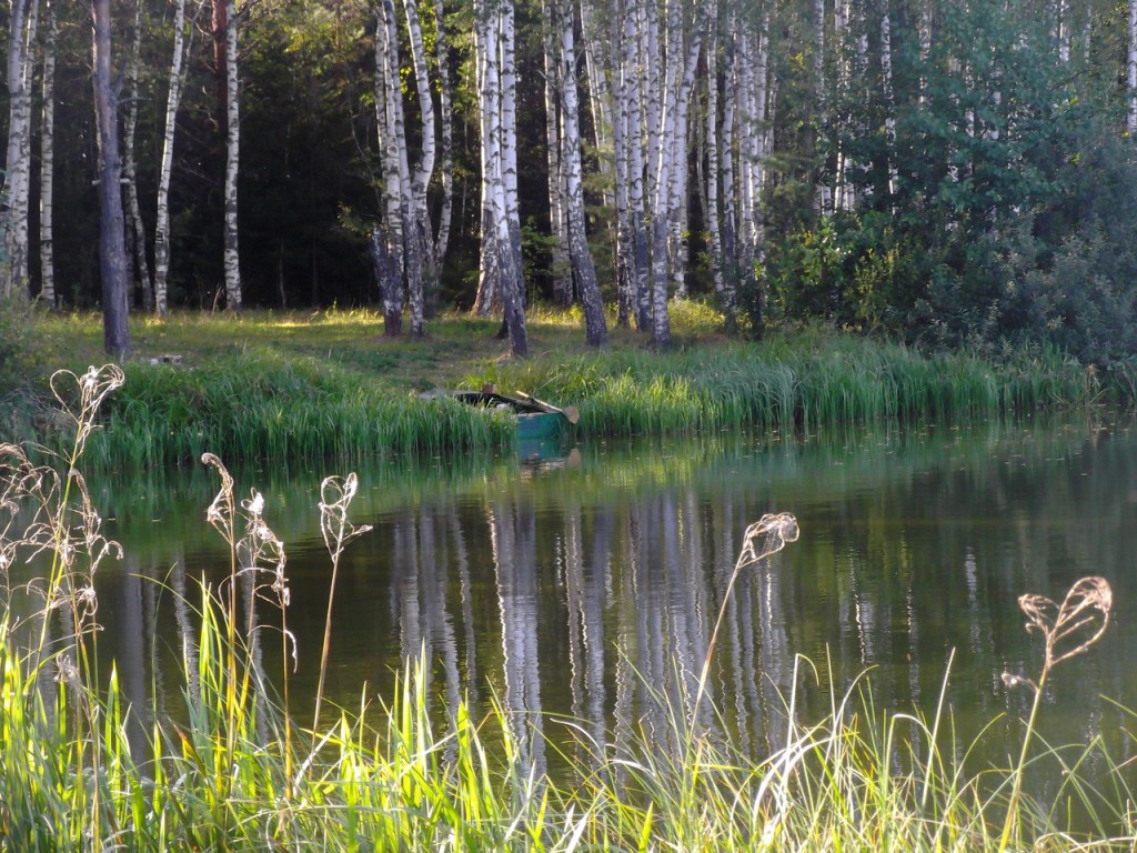 Озеро Вышманово, Собинский район 01