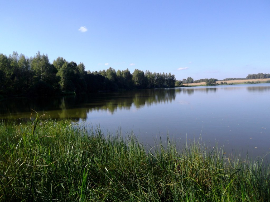 Озеро Вышманово, Собинский район 02