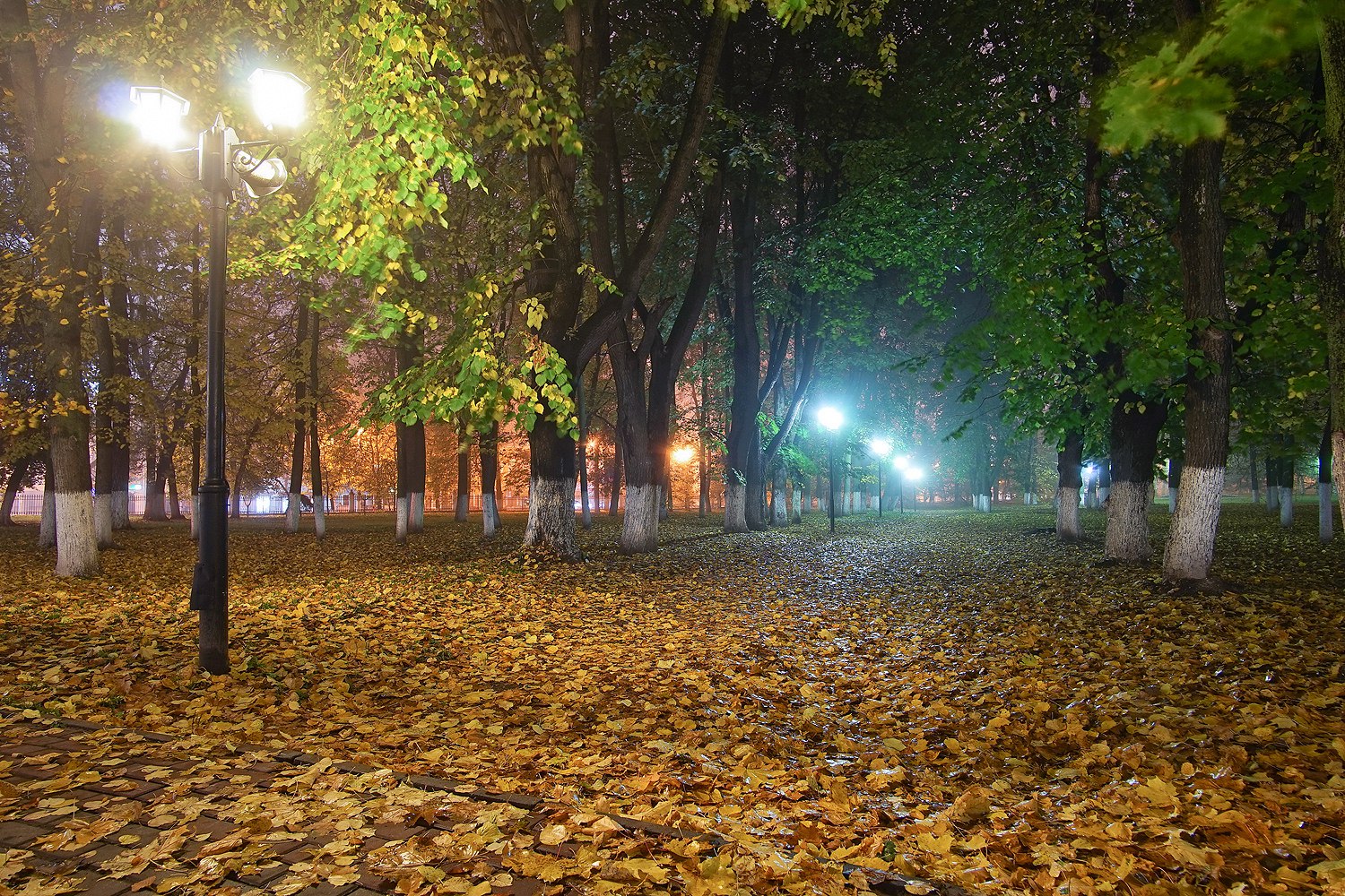Осенний Владимир Фото