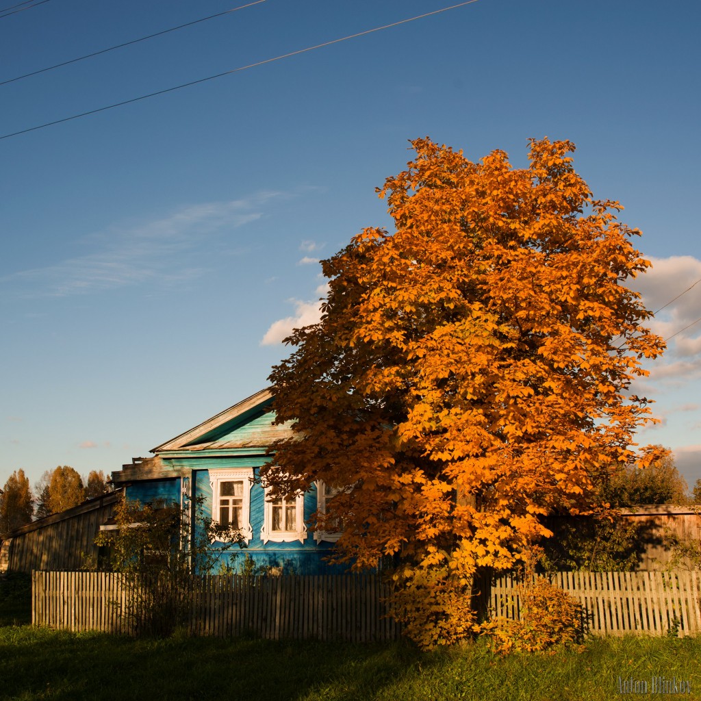 Осень в селе Архангел. Меленковский р-н