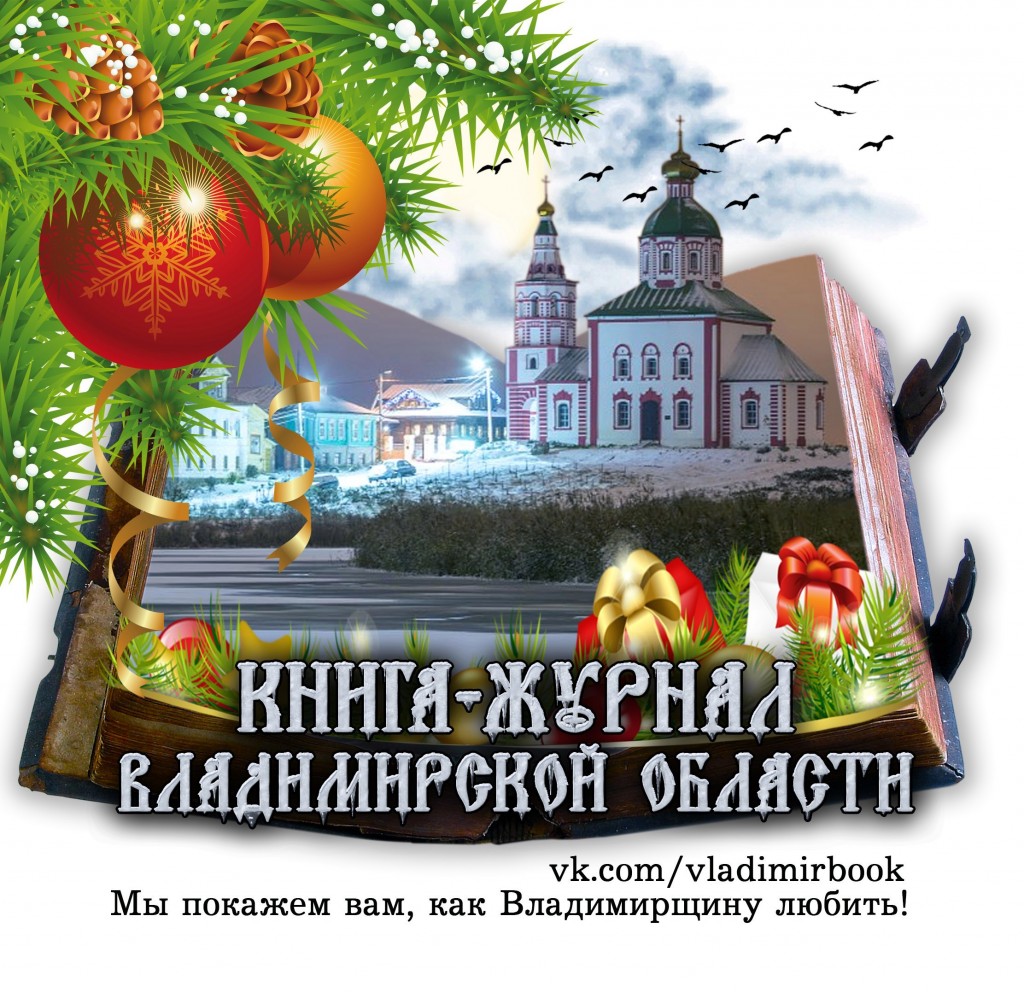 Книга-журнал Владимирской области, Новогодний логотип группы ВК