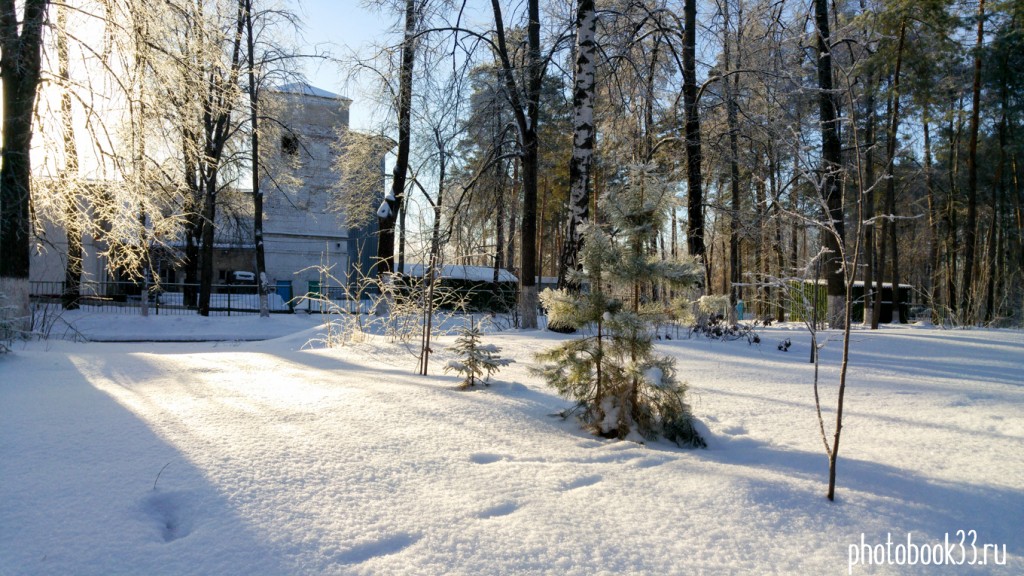 Чудесный солнечный зимний день на Вербовском 04