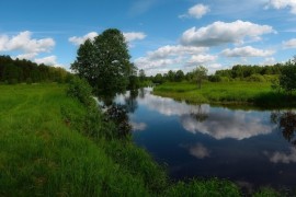 Река Судогда недалеко от деревни Лаврово, начало лета