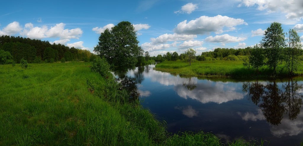 Река Судогда недалеко от деревни Лаврово, начало лета, Судогодский р-н