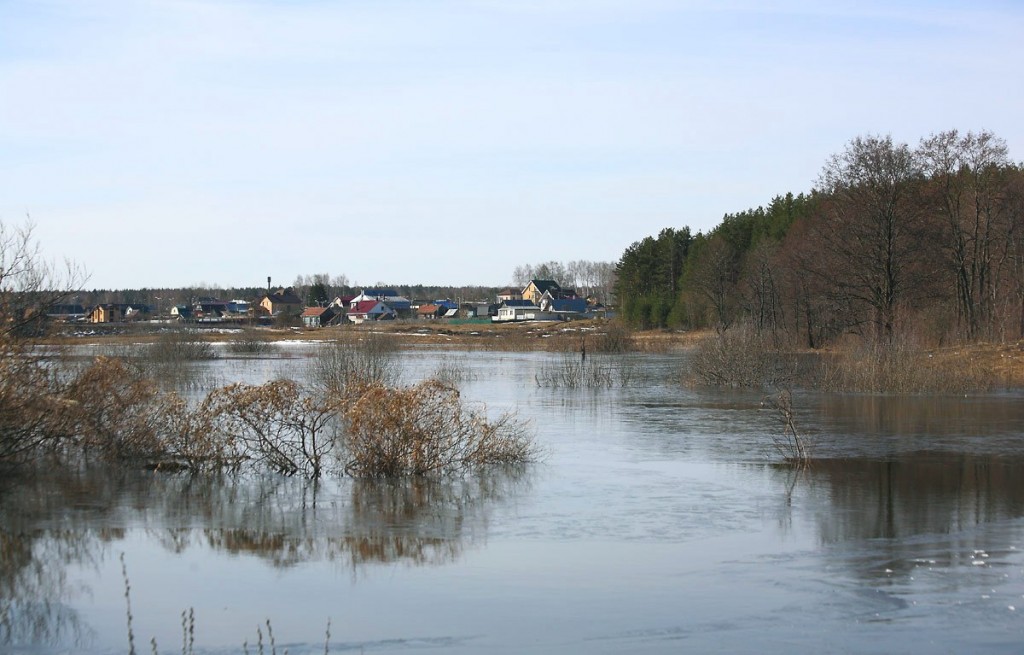 Разлив на речке Нерехте у деревни Погост, Ковровский район 01