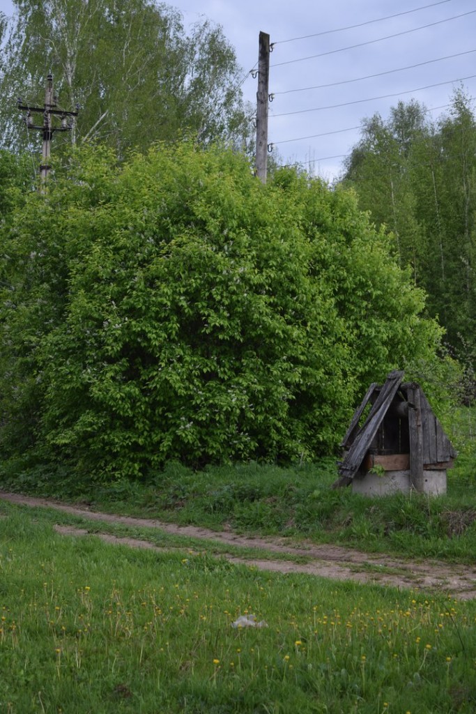 Деревня Кучки, Юрьев-Польский район 04