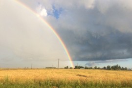 Летняя радуга в Ковровском районе