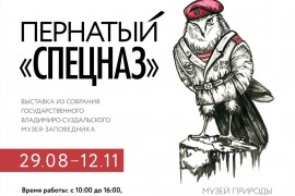 Выставка «Пернатый «спецназ» во Владимире