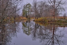 Накануне зимы в Загородном парке ( Владимир, конец октября)