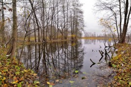 Осенние зеркала ( Владимир, конец октября)
