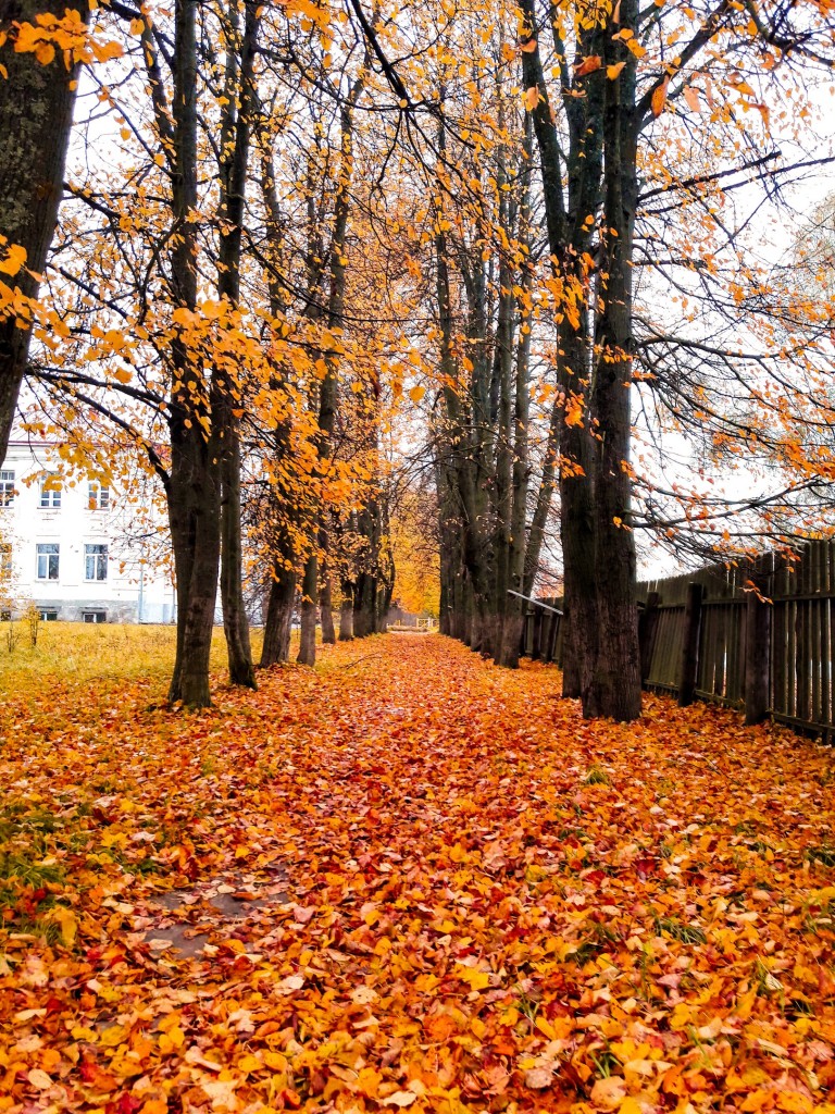 Осенняя прогулка по городу Меленки 05