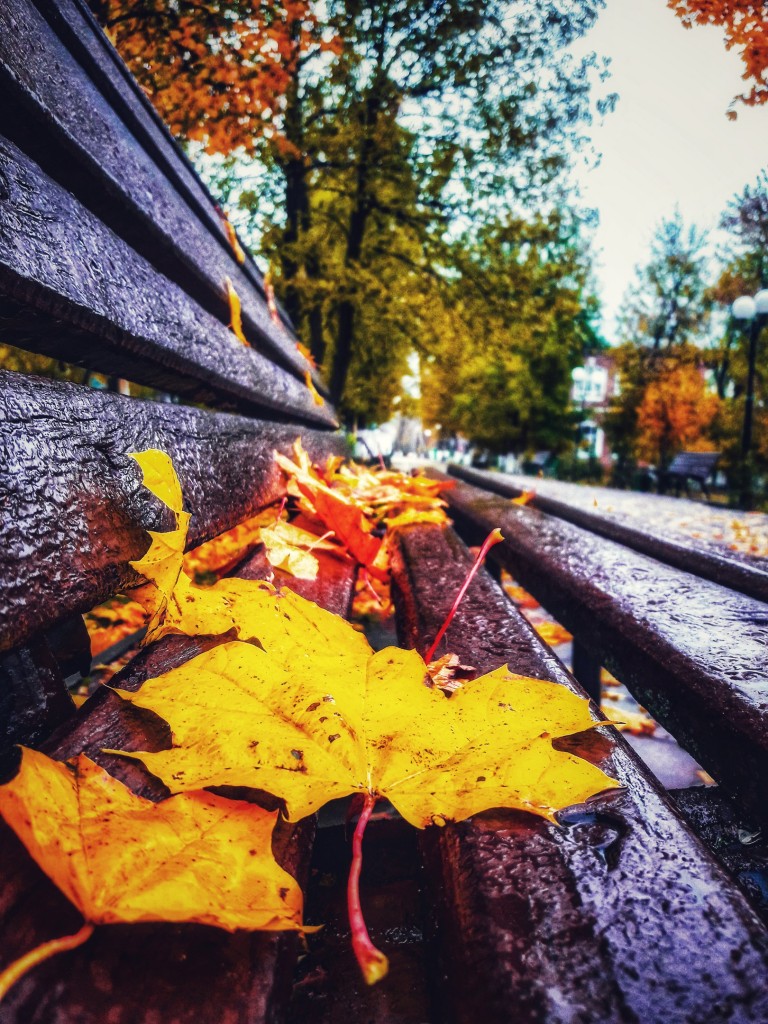Осенняя прогулка по городу Меленки 06