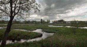 Сильно петляющее русло Тальши у поселка имени Горького, Камешковский р-н