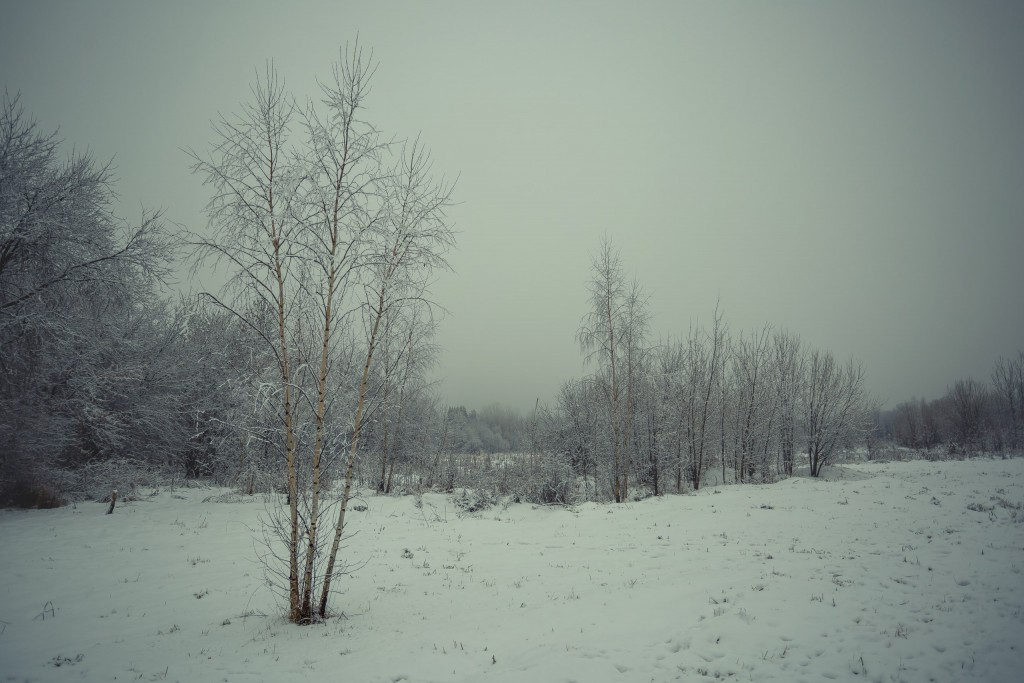 Зима в парке, Муром 01
