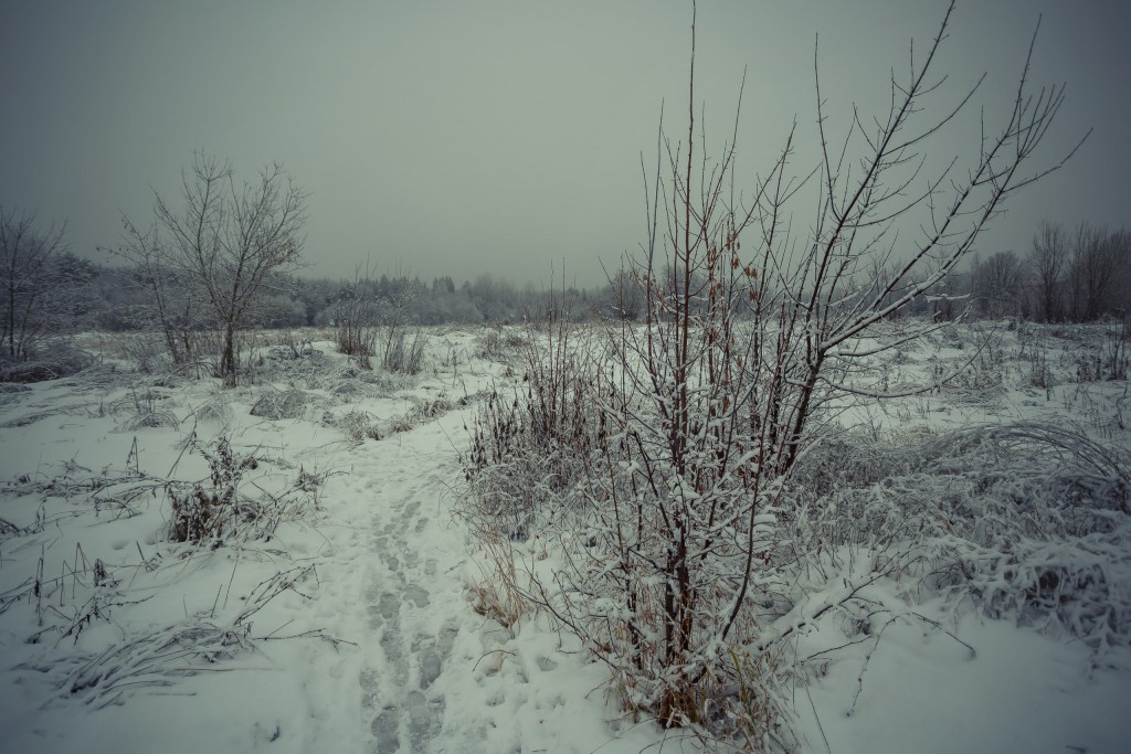 Зима в парке, Муром 04