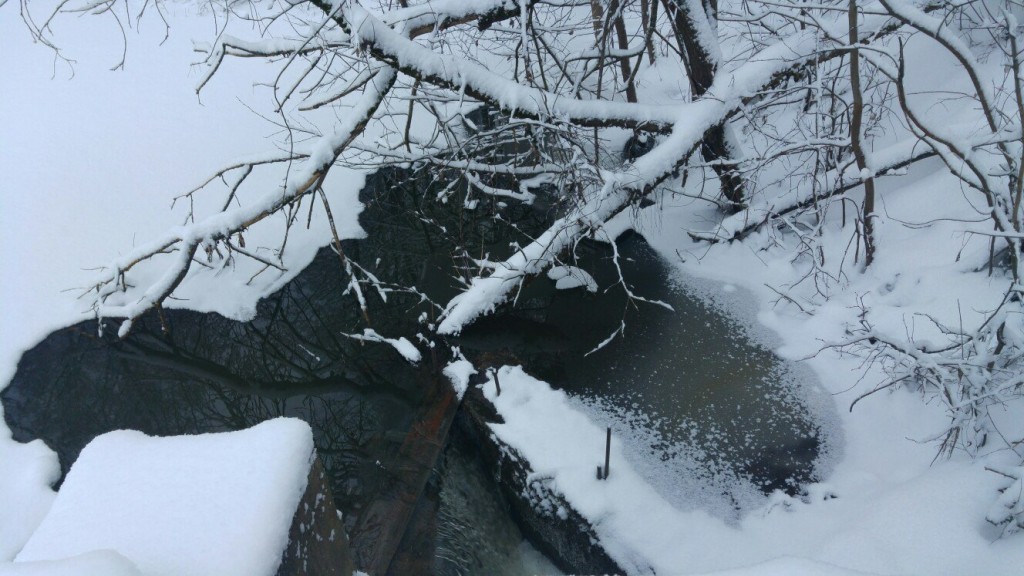 Муром снегом замело. Прогулка по снежному лесу на Вербовском. 07