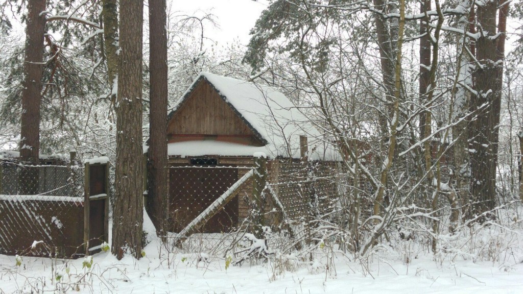 Муром снегом замело. Прогулка по снежному лесу на Вербовском. 09