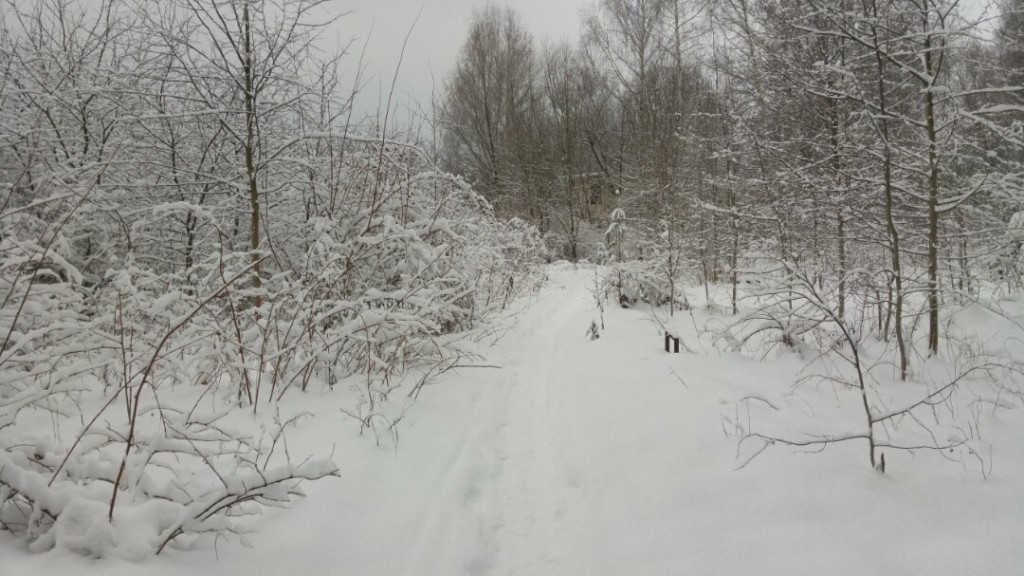 Муром снегом замело. Прогулка по снежному лесу на Вербовском. 10