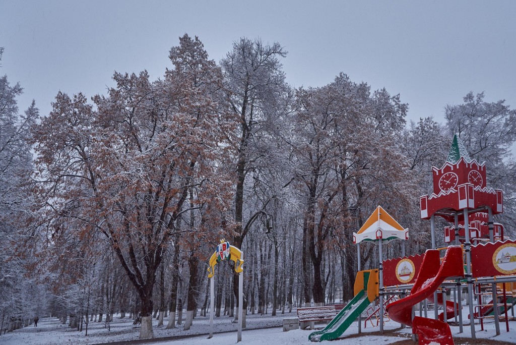 Первые дни зимы во Владимире 01