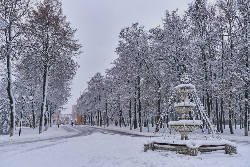 Первые дни зимы во Владимире 09