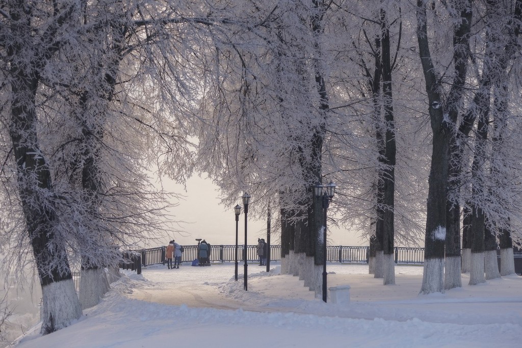 Красивая зима во Владимире 2018 02