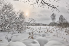 Снежное начало февраля в Александрове, 02.02.2018