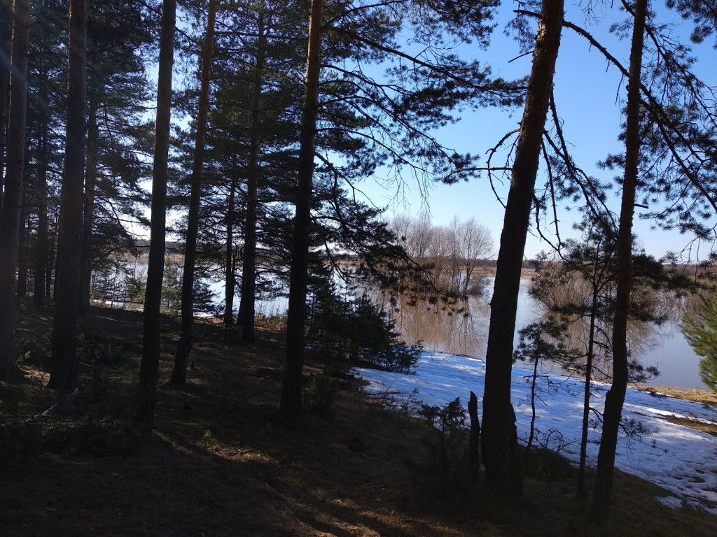 Разлив Клязьмы близ д. Любцы, Ковровский район 05