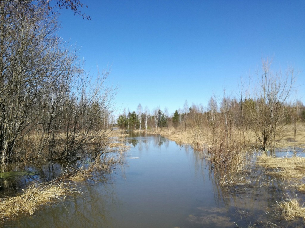 Разлив реки Киржач в окрестностях деревни Ветчи Петушинский район 02