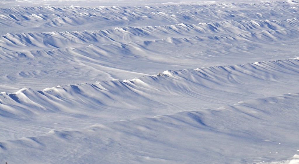 Снежные волны на Суздальских полях 01