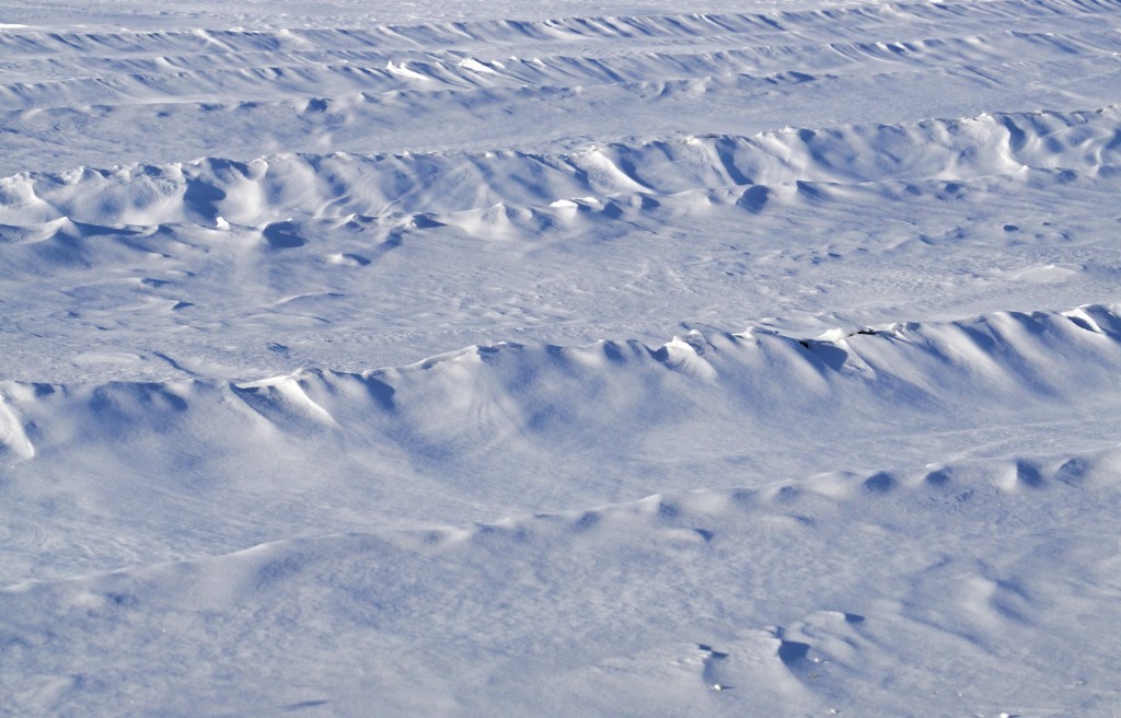 Снежные волны на Суздальских полях 02