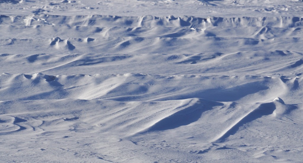 Снежные волны на Суздальских полях 04